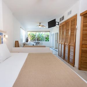 Suite Estándar
